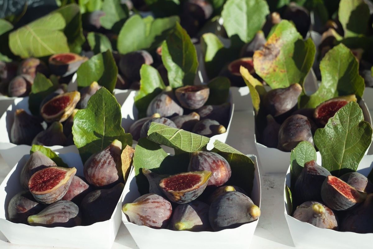 Figues marché de sanary-sur-mer plus beau marché de france