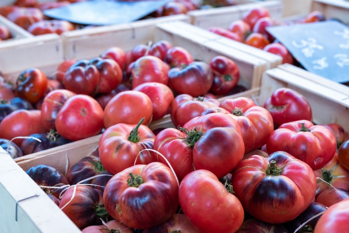 Tomates marché de sanary-sur-mer plus beau marché de france