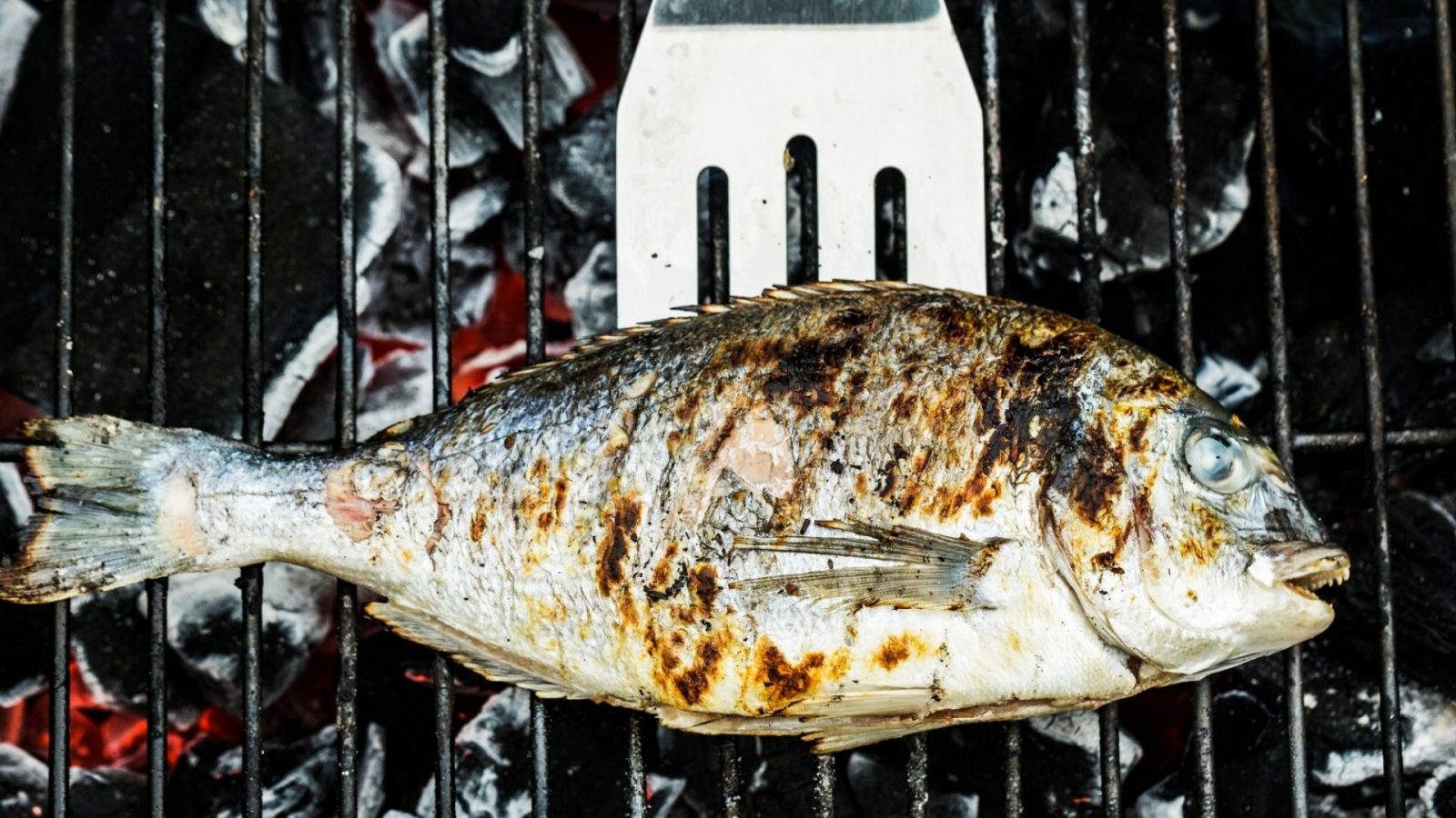 Restaurant produits de la mer Bandol