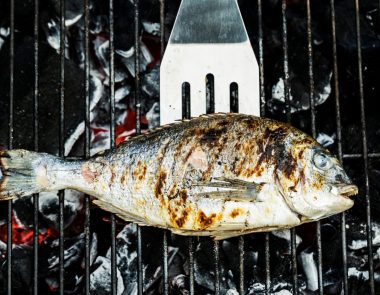 Se régaler des produits de la mer