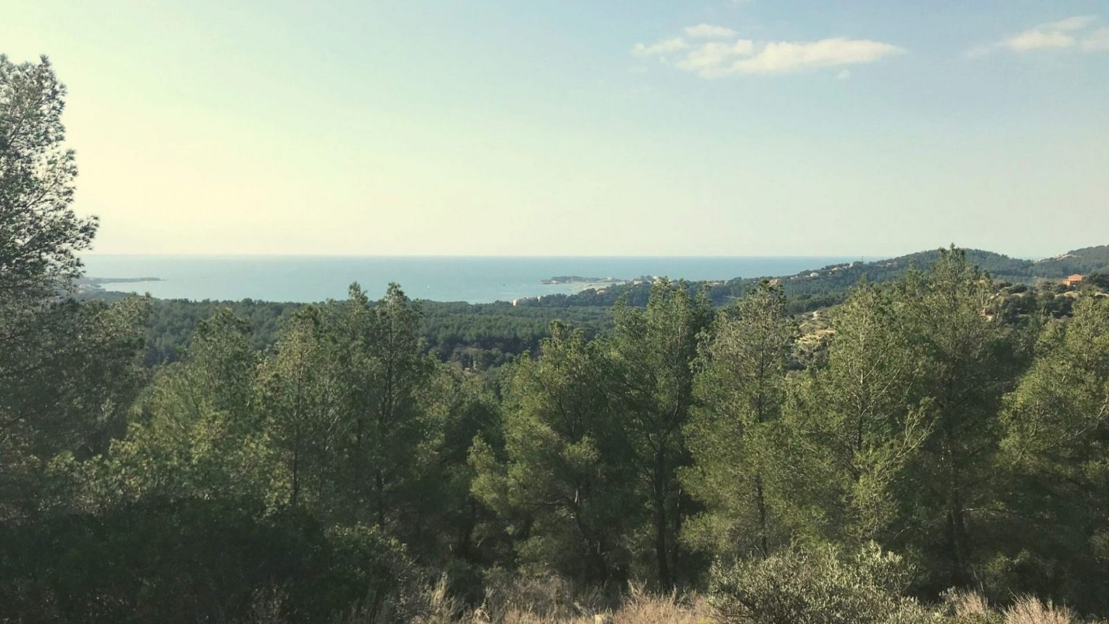 Vue Gros Cerveau Bandol