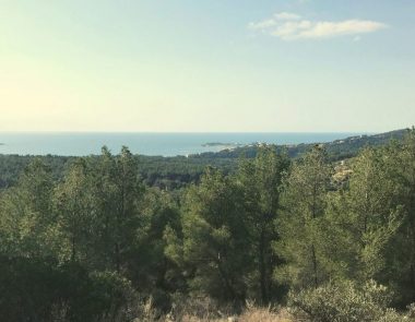 Le massif du Gros Cerveau