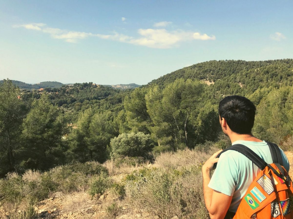 Vue Gros Cerveau Bandol