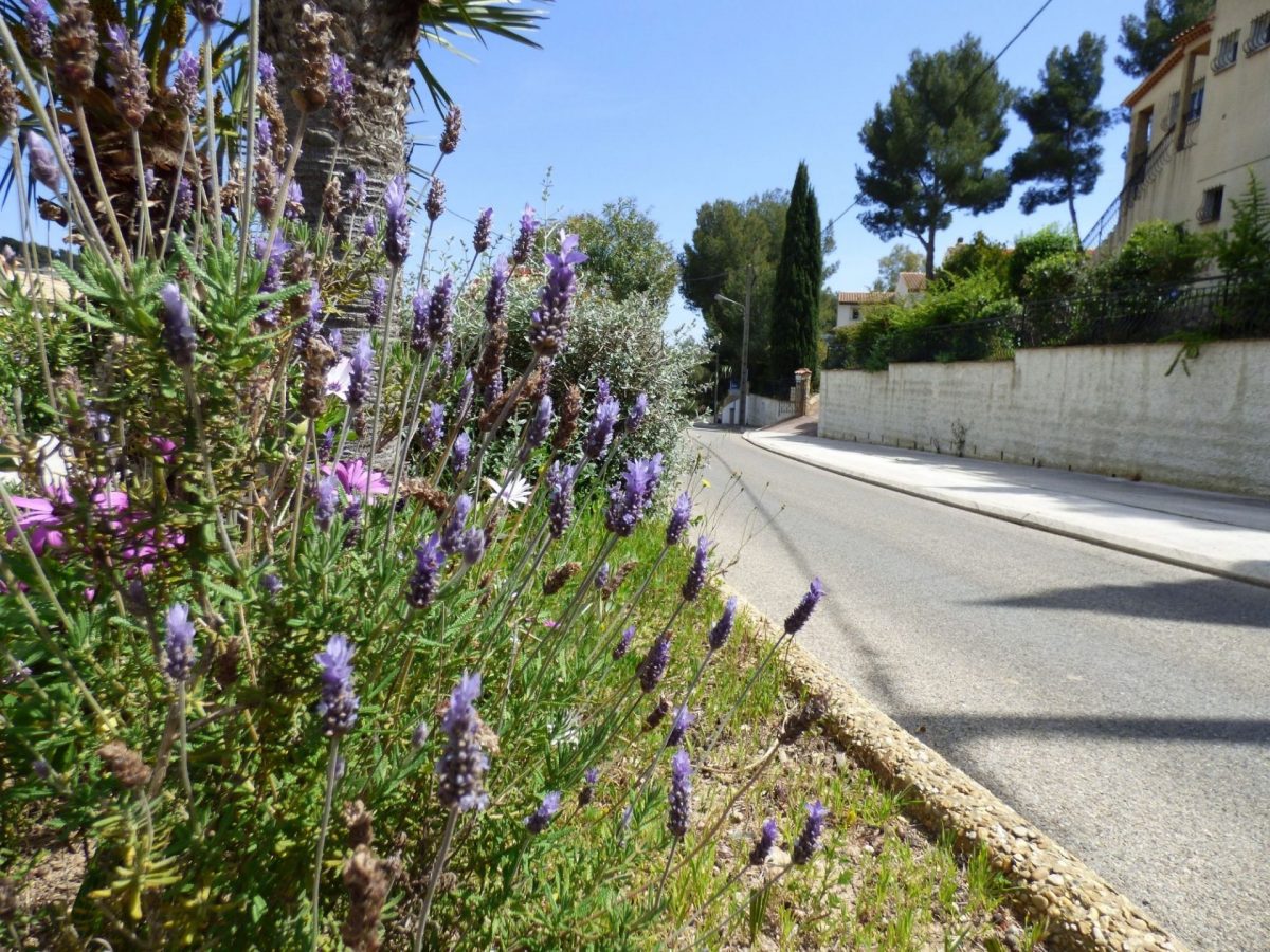 Quartier Bellevue Bandol