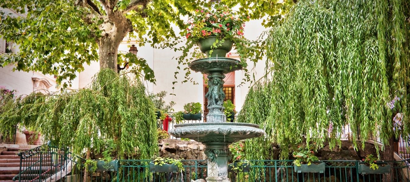 8 choses à savoir avant de venir à Bandol