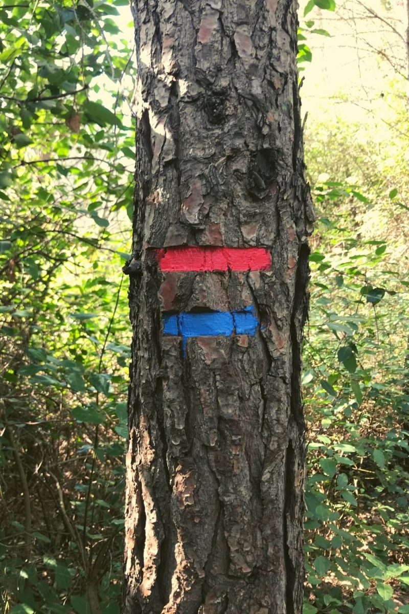 Balise tracé Gros Cerveau Bandol