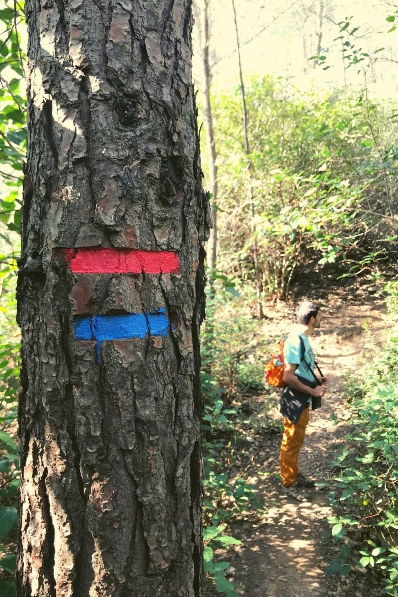 Balise tracé Gros Cerveau Bandol