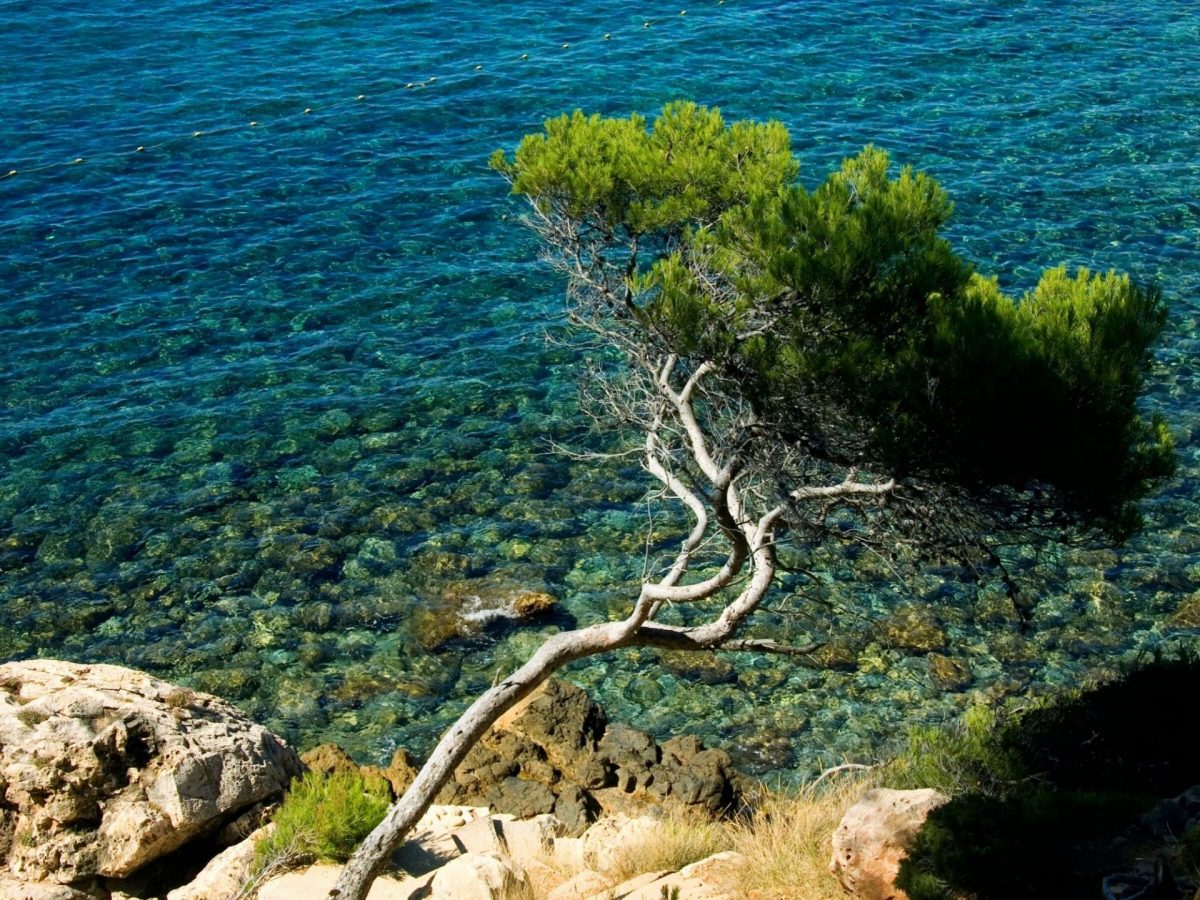 Bandol 320 jours de soleil par an