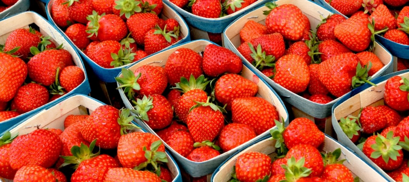 Marchés provençaux Bandol Sanary