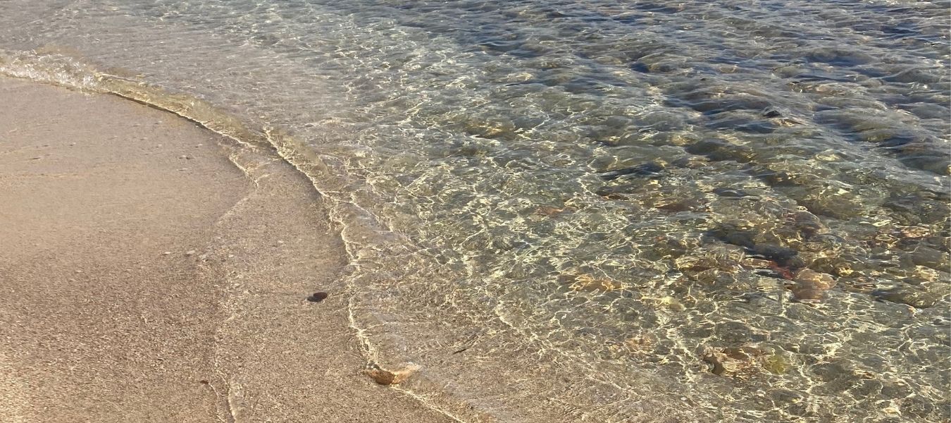 4 plages bandol lauréat pavillon bleu