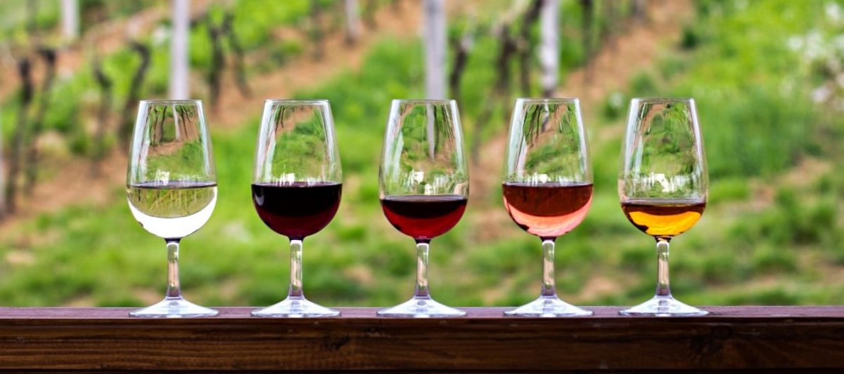 Fête vins millésime Bandol