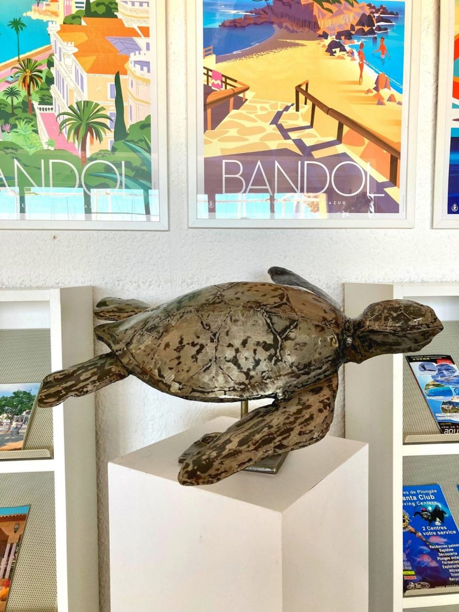Tortue Bandol Tourisme