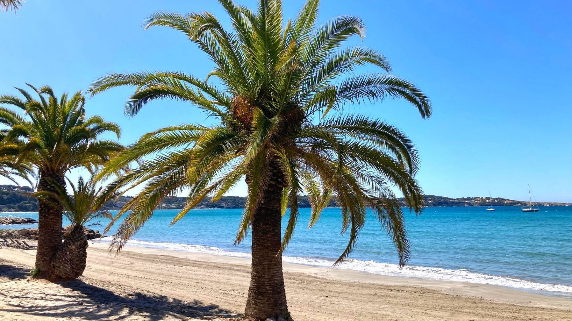 Plage du Grand Vallat Bandol