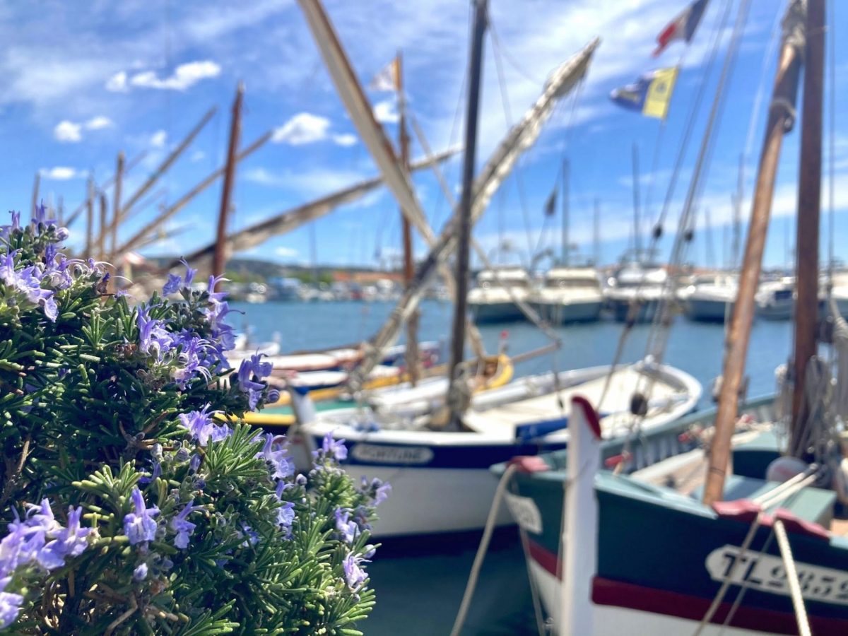 Mois de Mai à Bandol port pointus