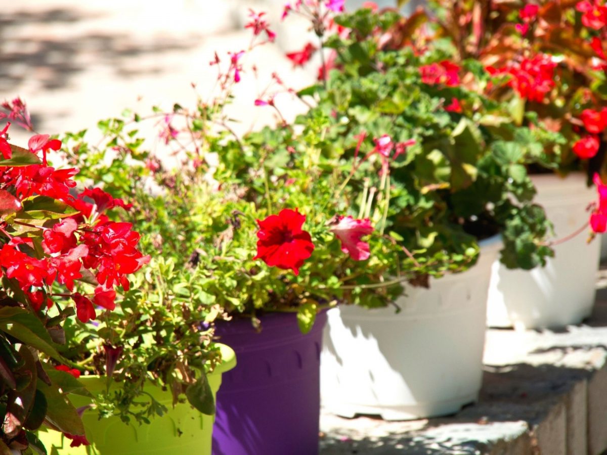 13Où passer vacances - castellet