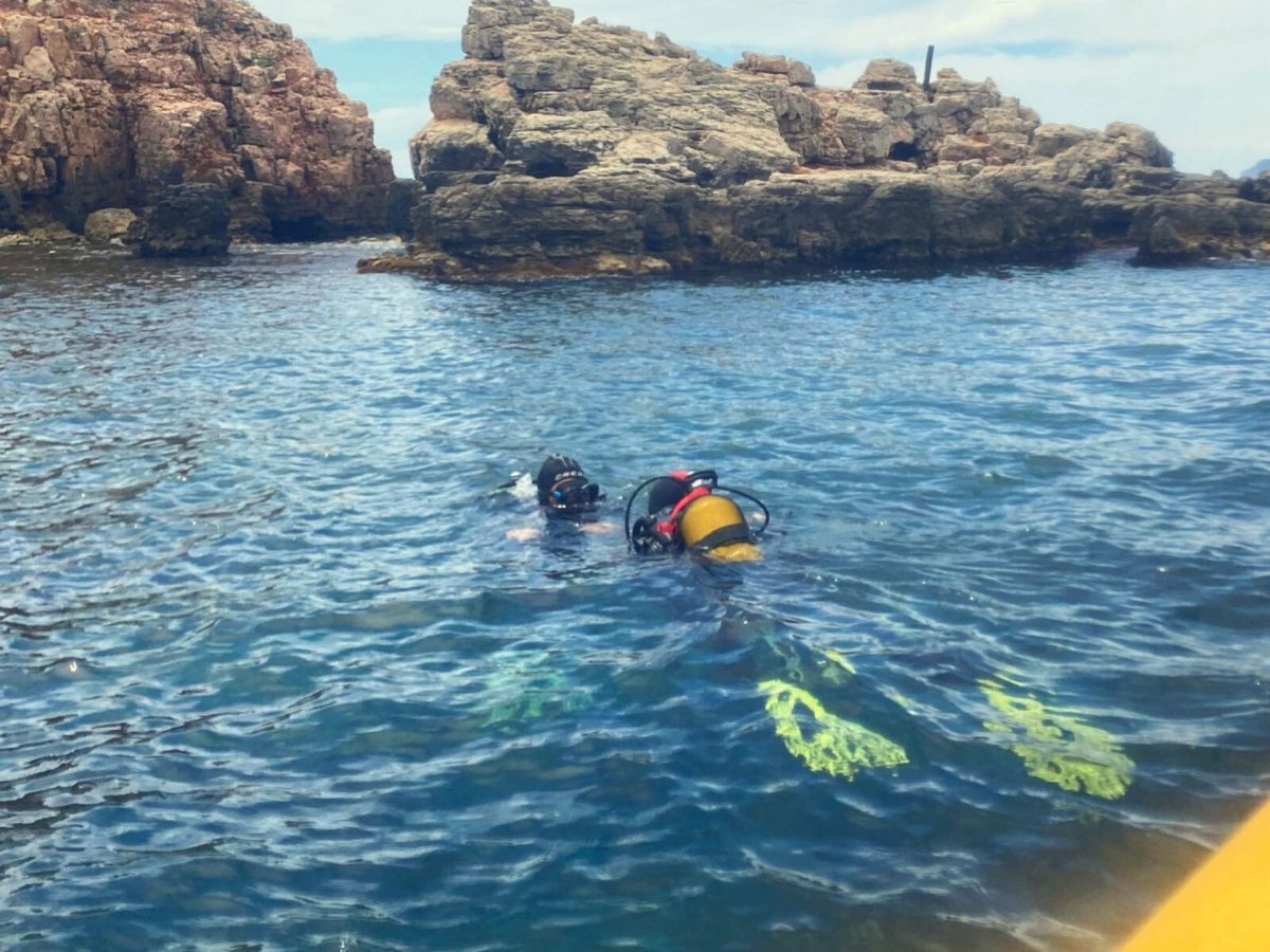 Baptême plongée Manta Club