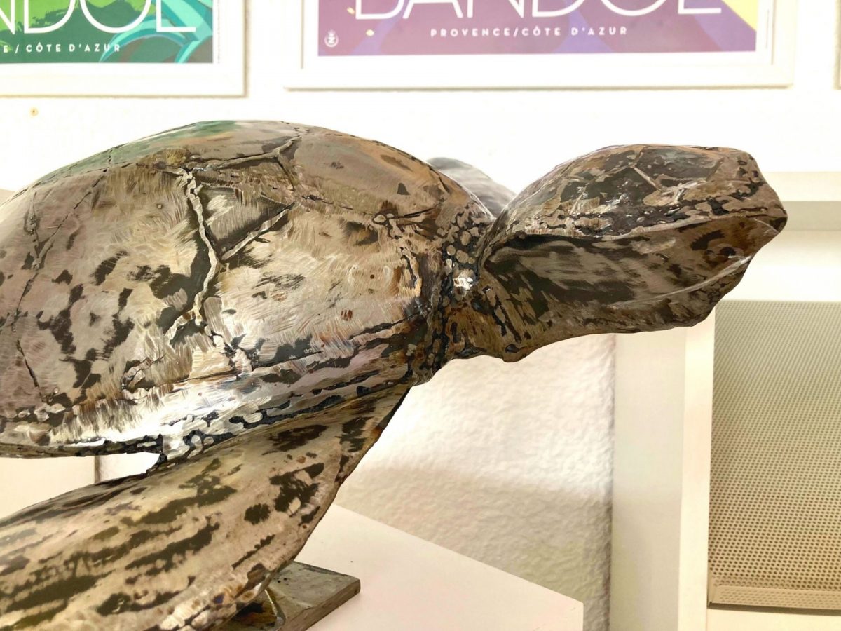 Tortue Bandol Tourisme