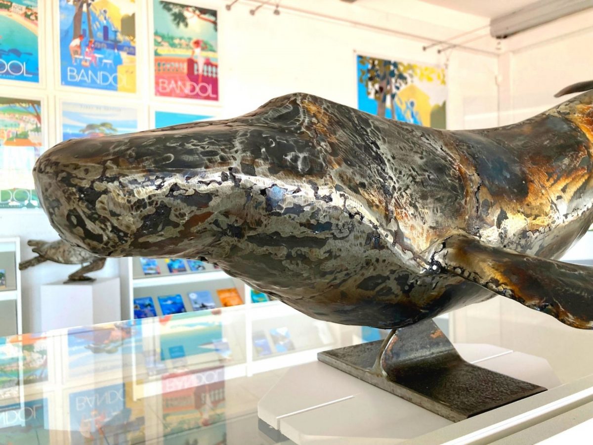 Baleine Bandol Tourisme