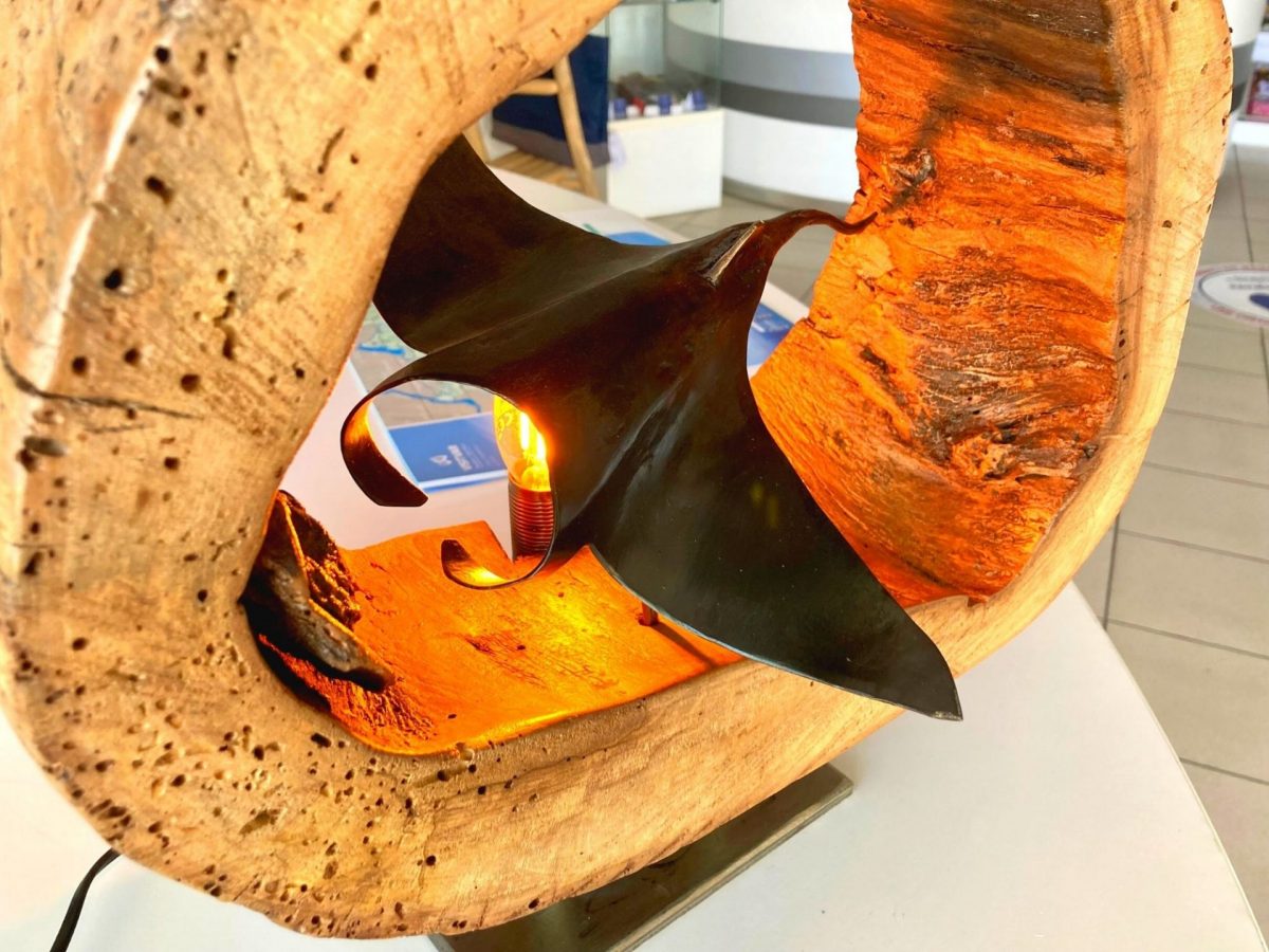 Raie Bandol Tourisme