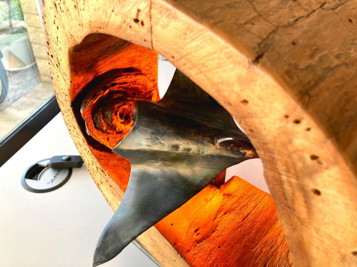 Raie Bandol Tourisme