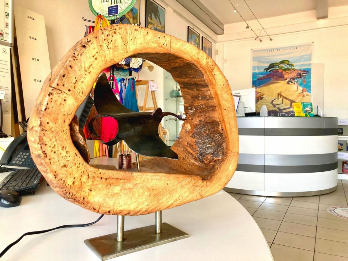 Raie Bandol Tourisme