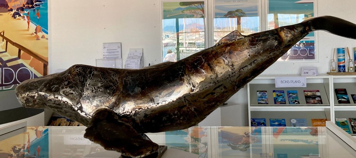 Tôle de mer Bandol Tourisme