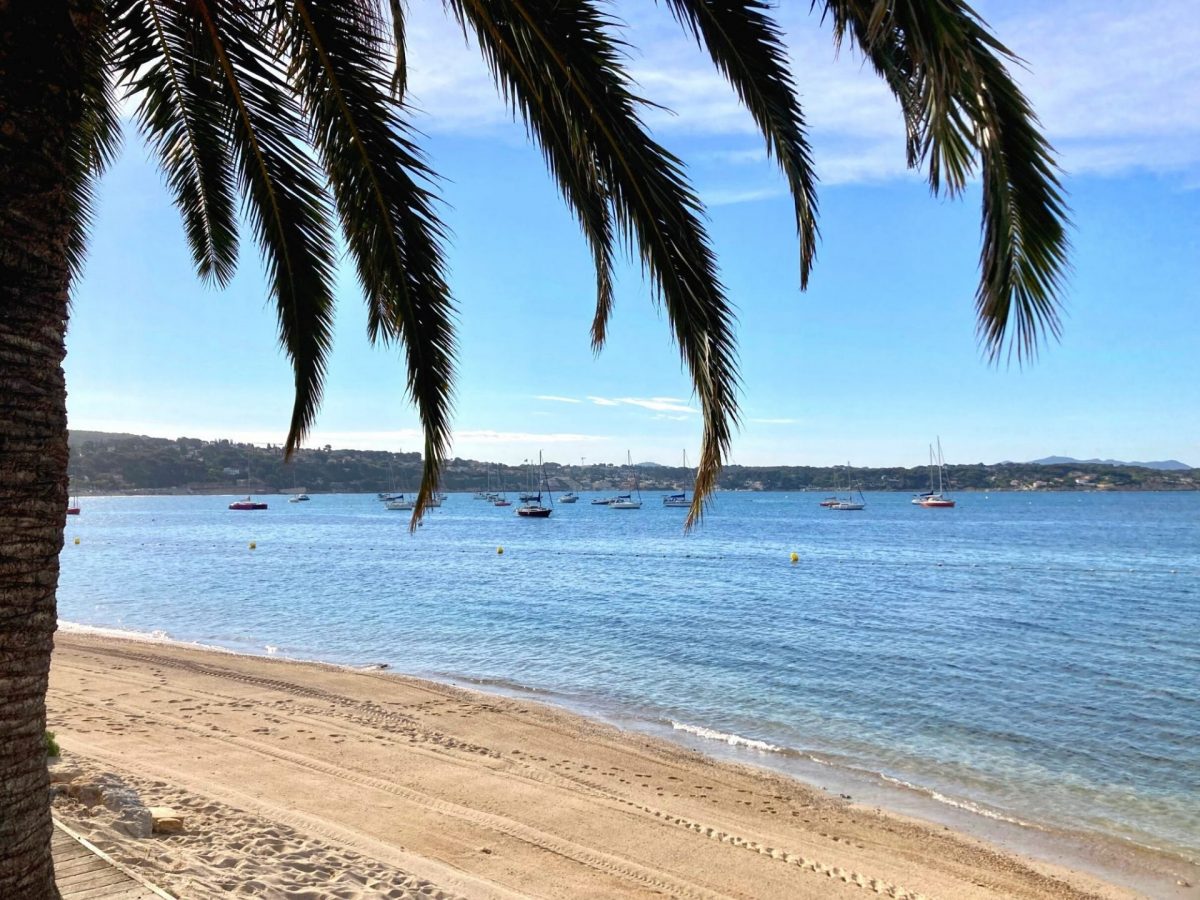 Bandol en Juillet