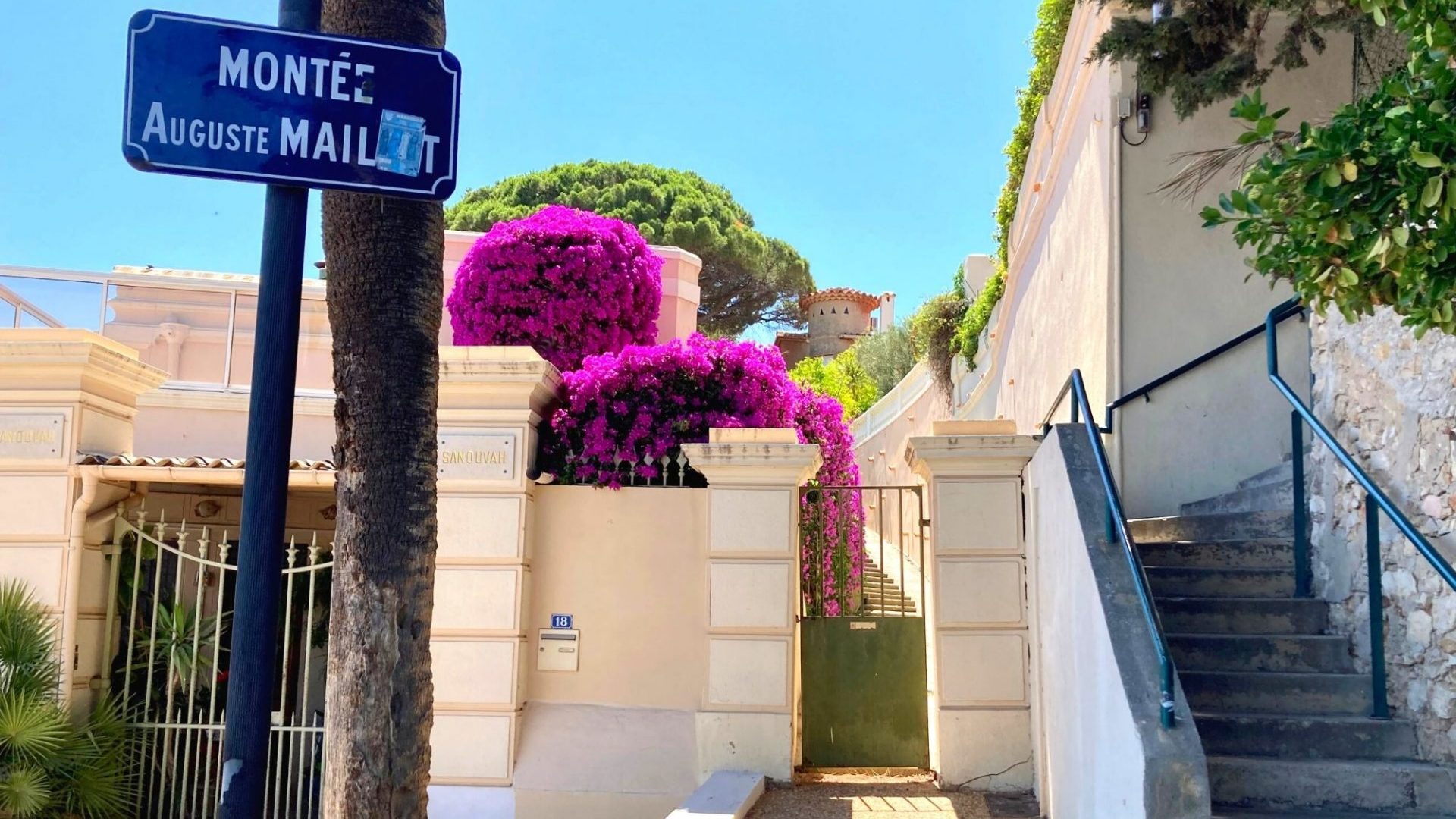 Bandol en Juillet