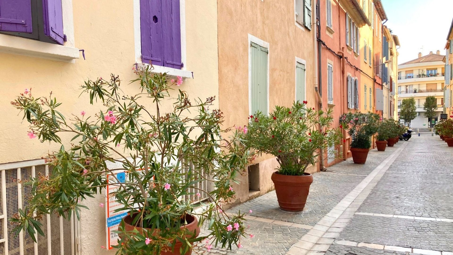 Bandol en Août