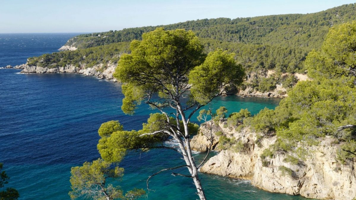 Découvrir Bandol en 1 journée en famille