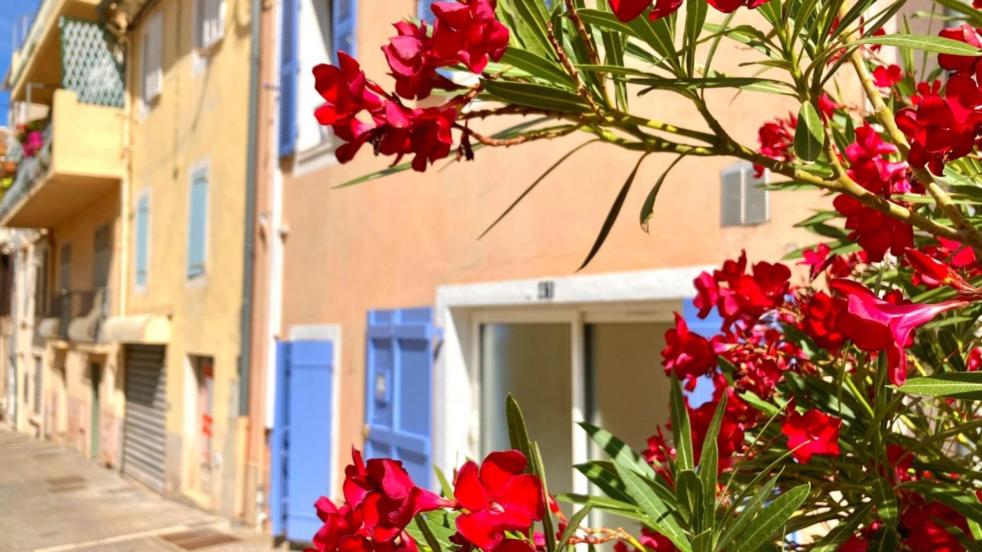 Bandol en Septembre