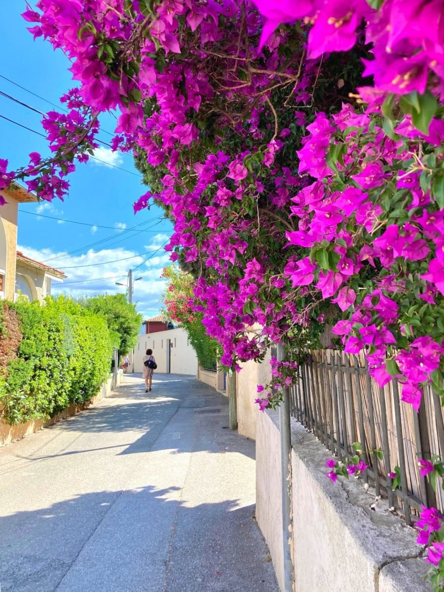 Bandol en Septembre