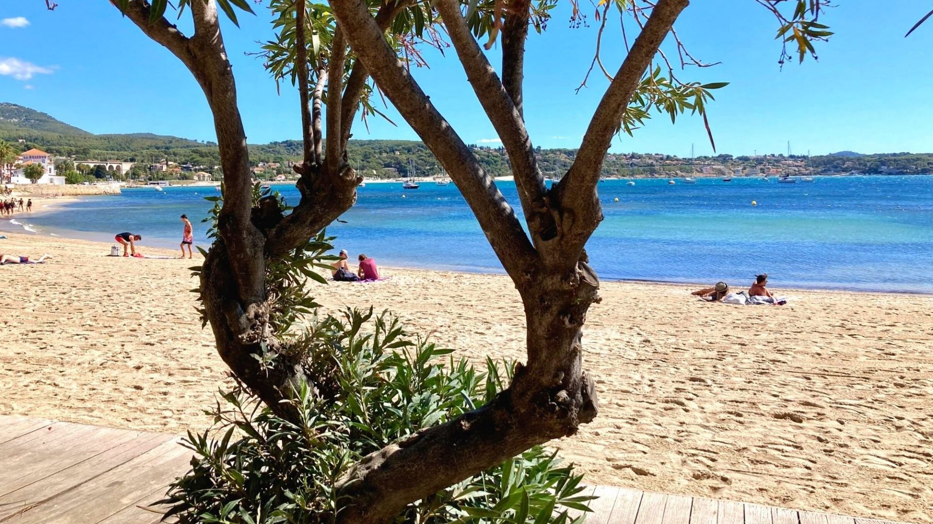 Bandol en Septembre