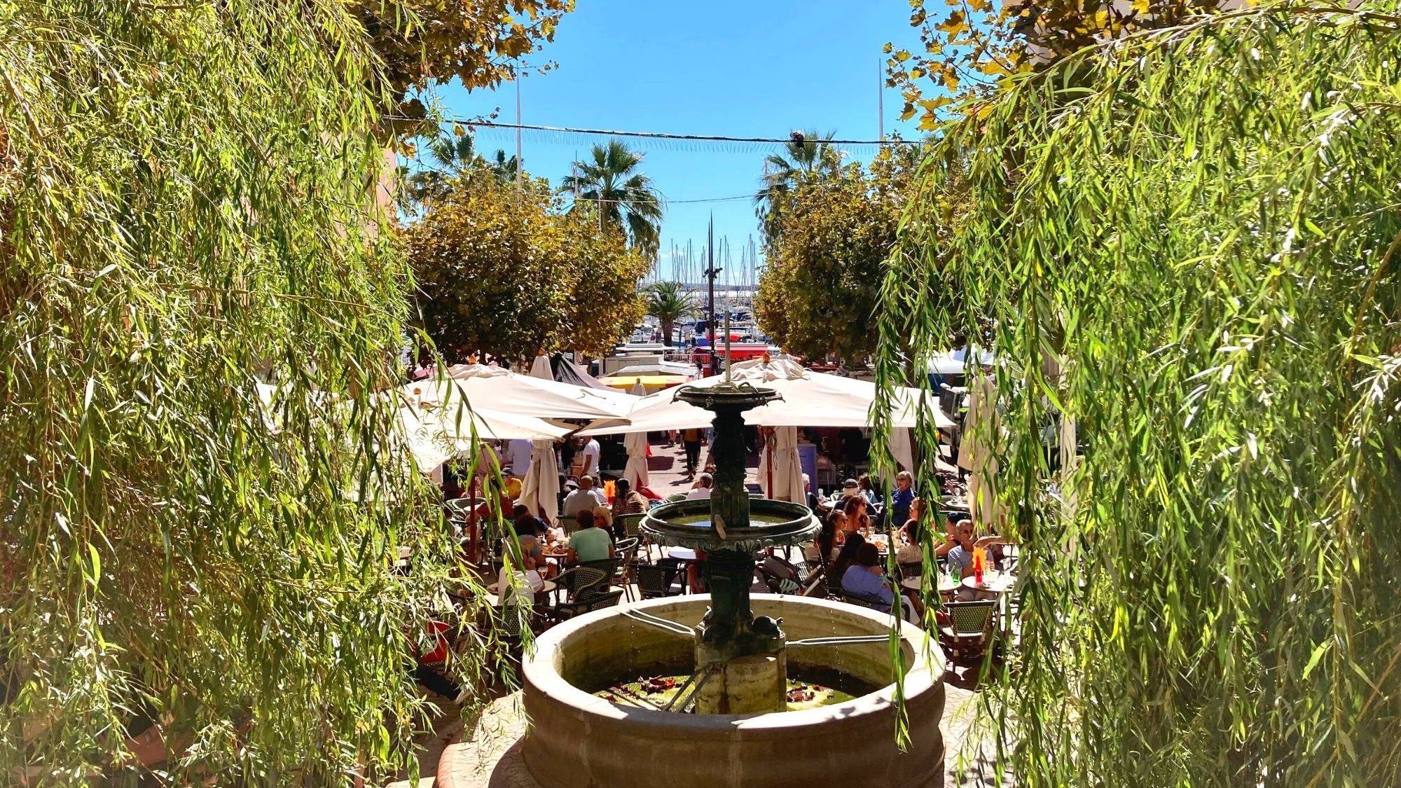 Bandol en Septembre