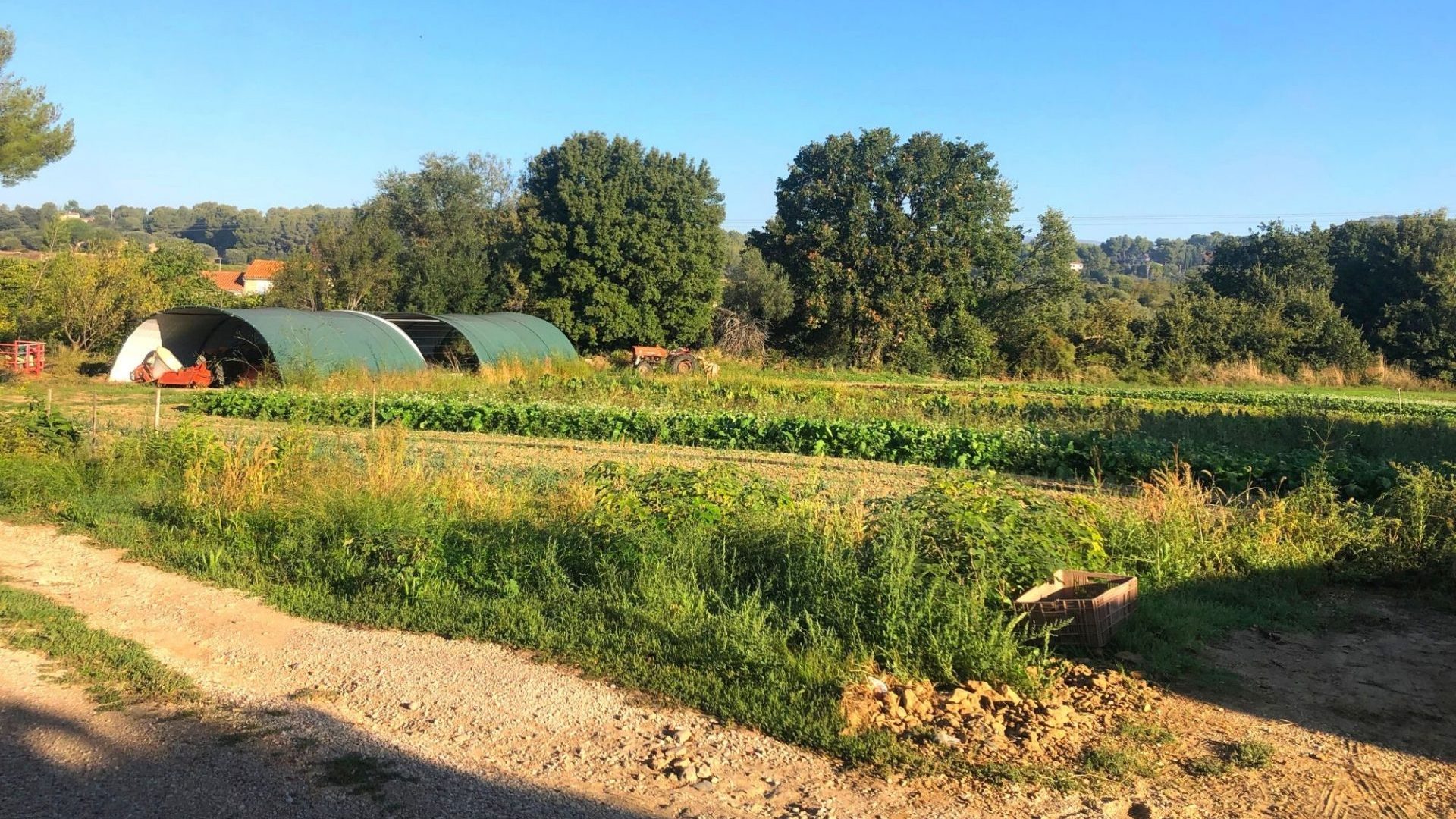 où acheter ses fruits et légumes Bandol producteur local