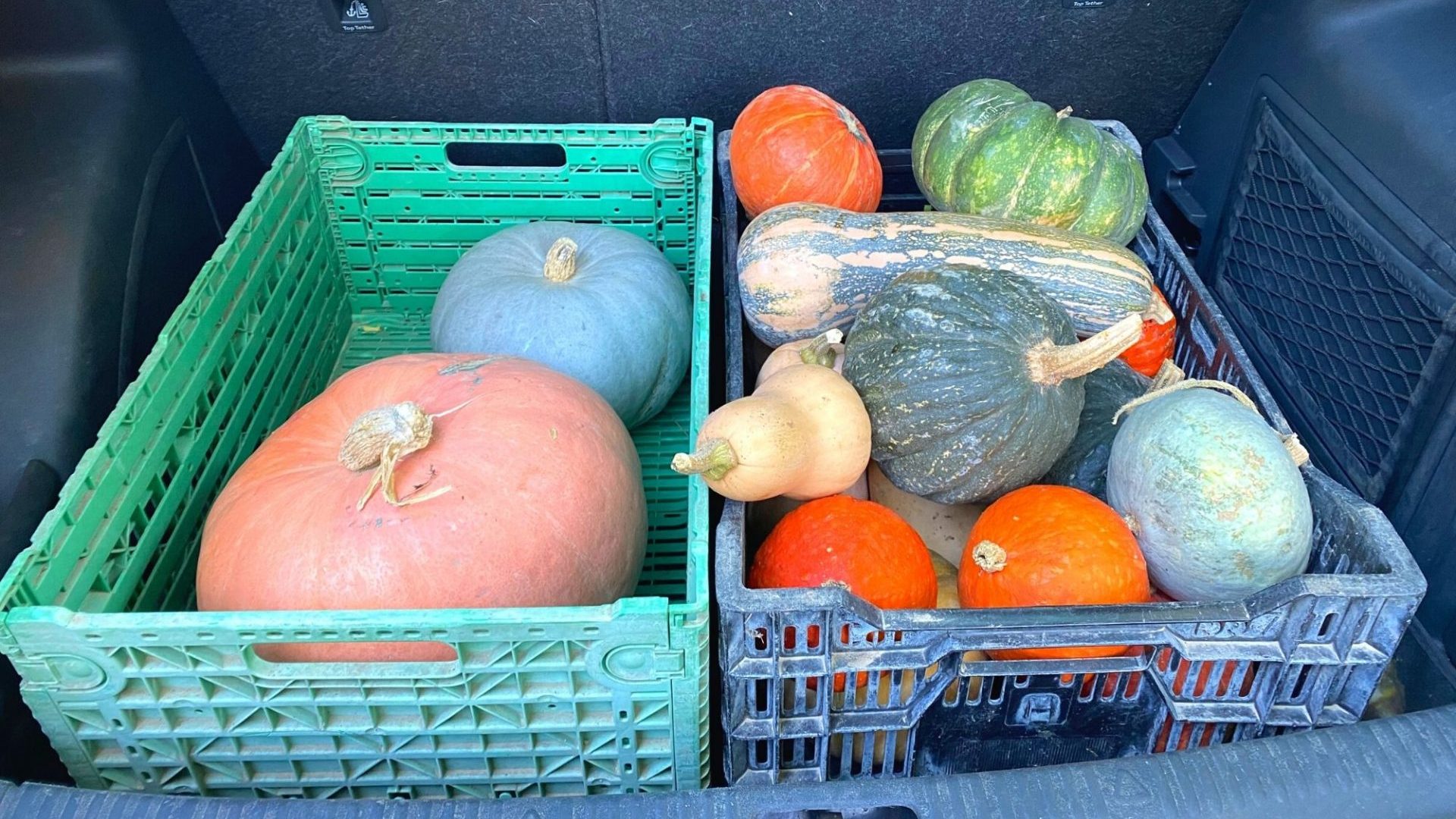 où acheter ses fruits et légumes Bandol producteur local