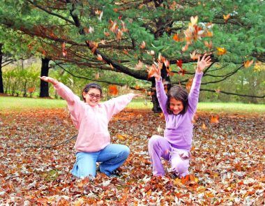 Les fêtes de l’automne à Bandol et ses alentours