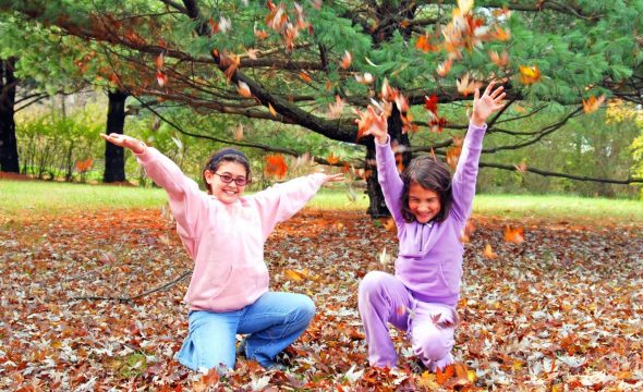 Les fêtes de l’automne à Bandol et ses alentours