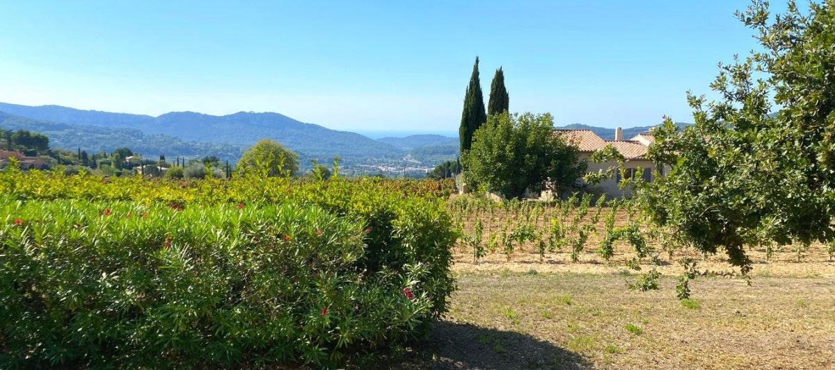 Vins de Bandol AOC