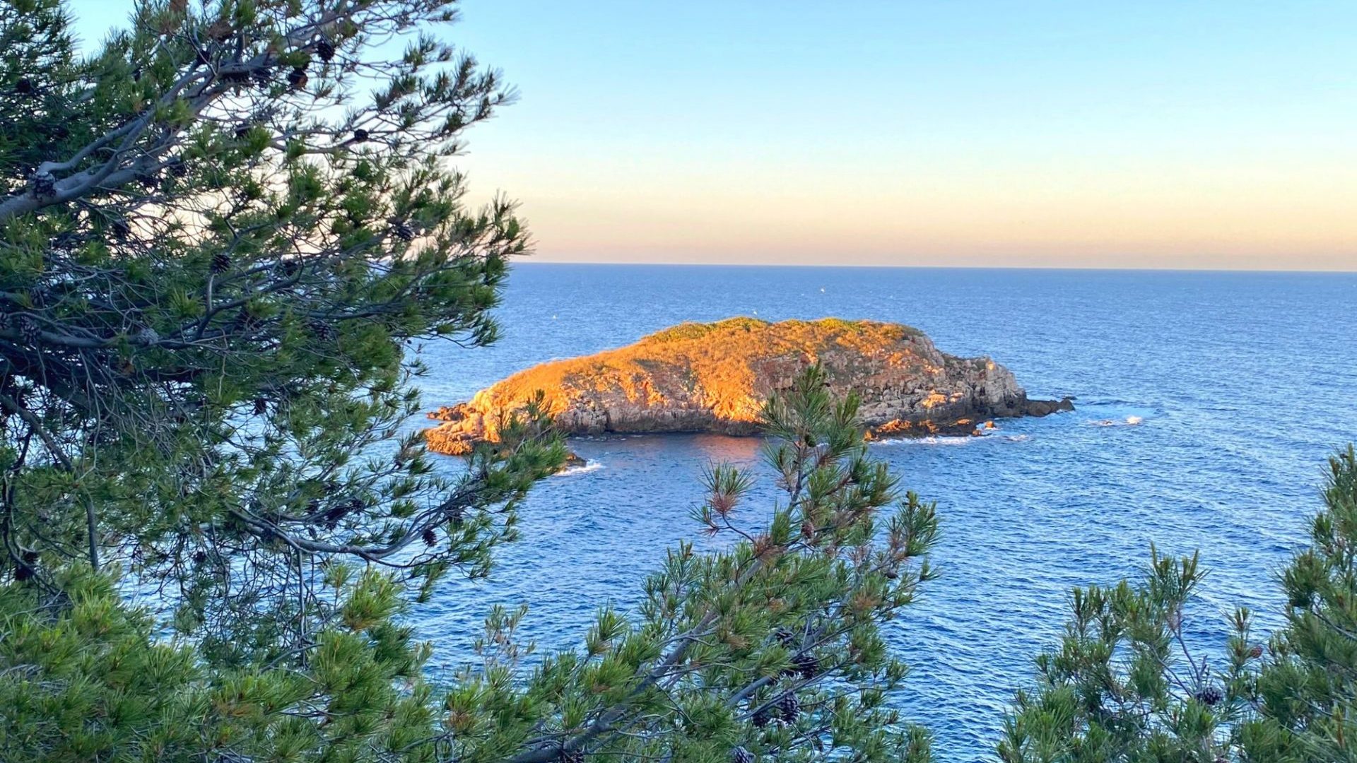 Bandol en Octobre