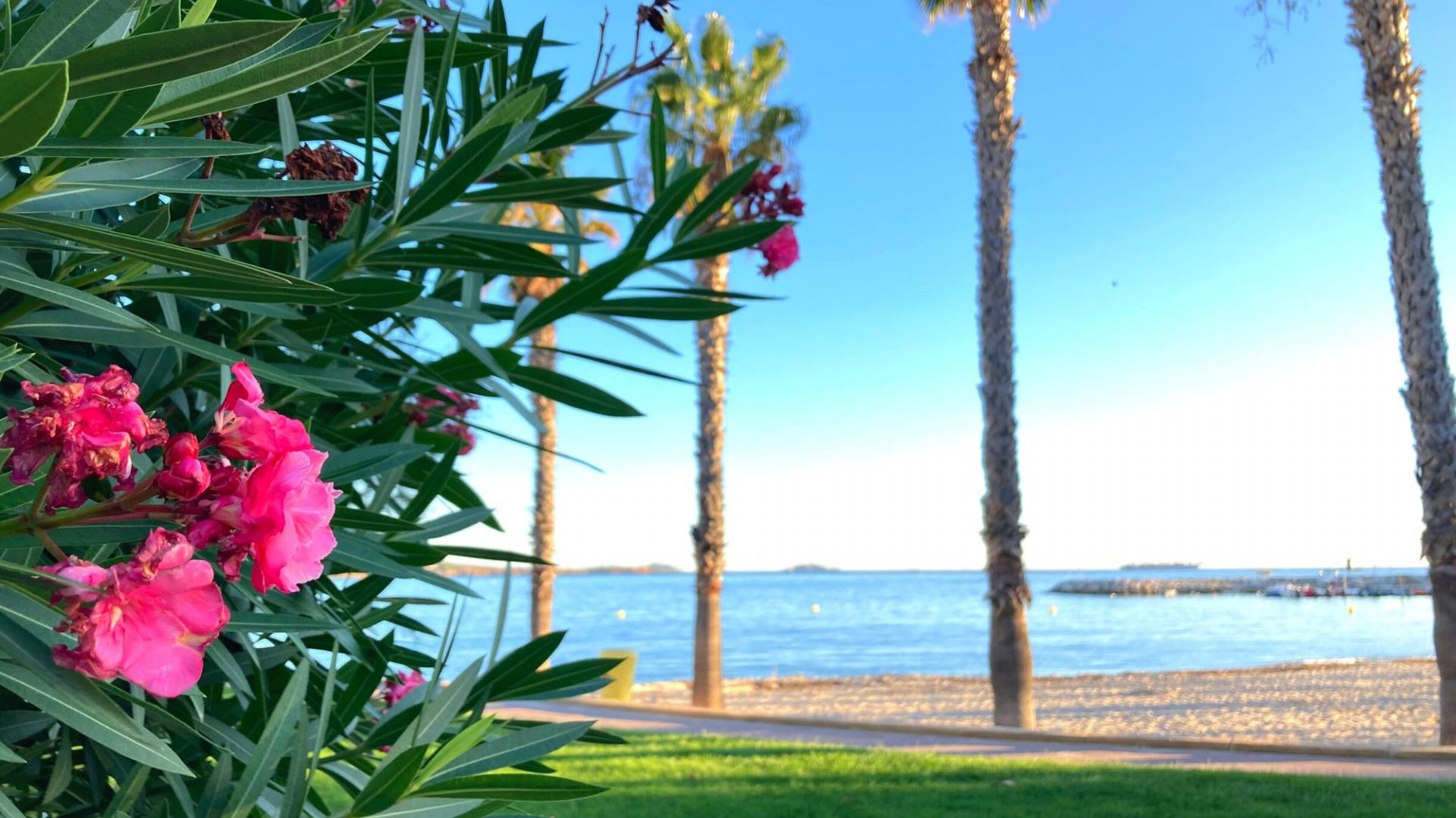Bandol en Octobre