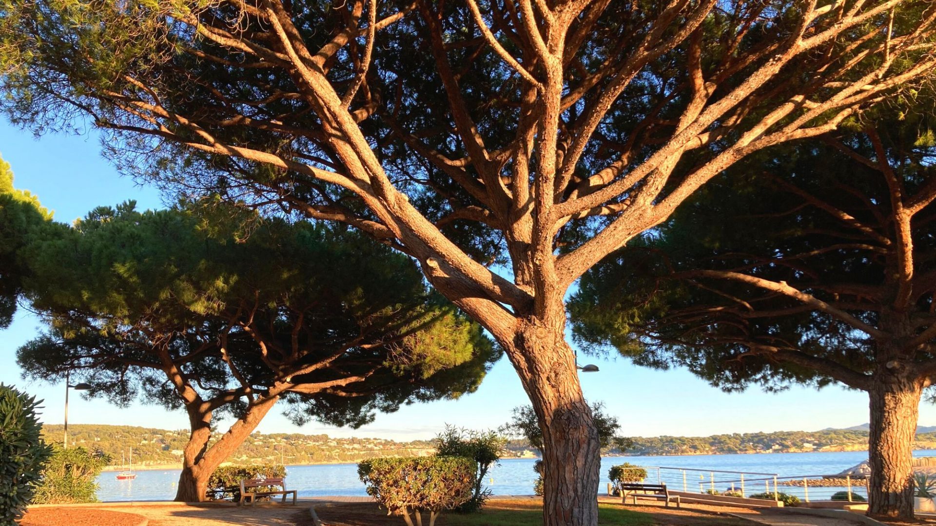 Bandol en Novembre