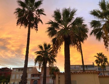 Visiter Bandol en novembre
