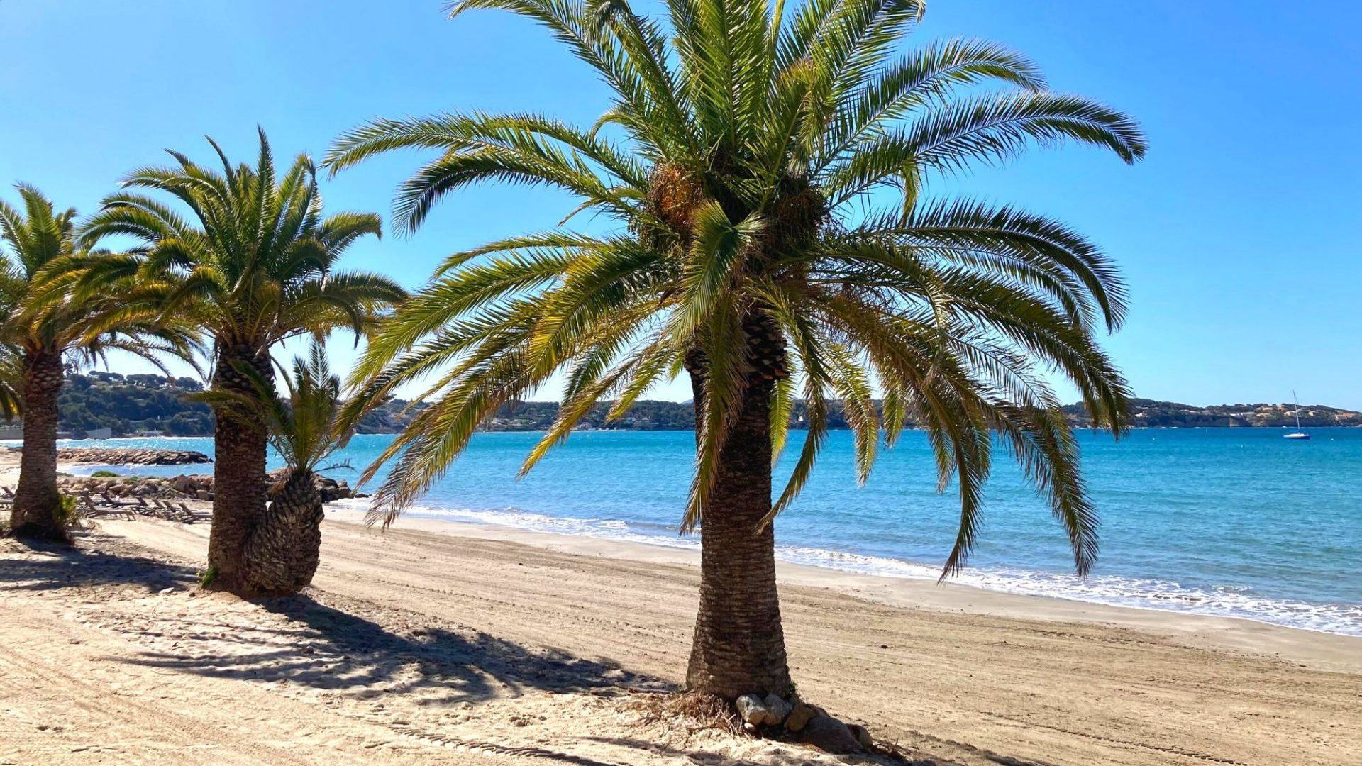 Bandol en Novembre