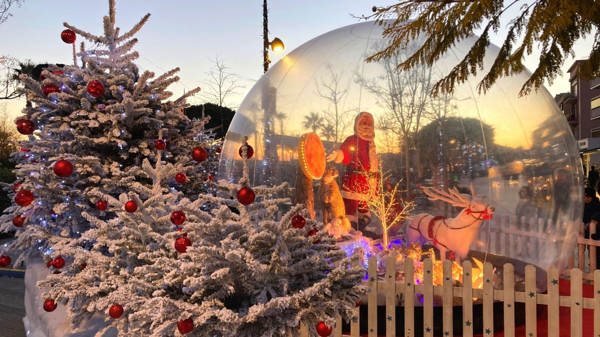 Visiter Bandol en Décembre
