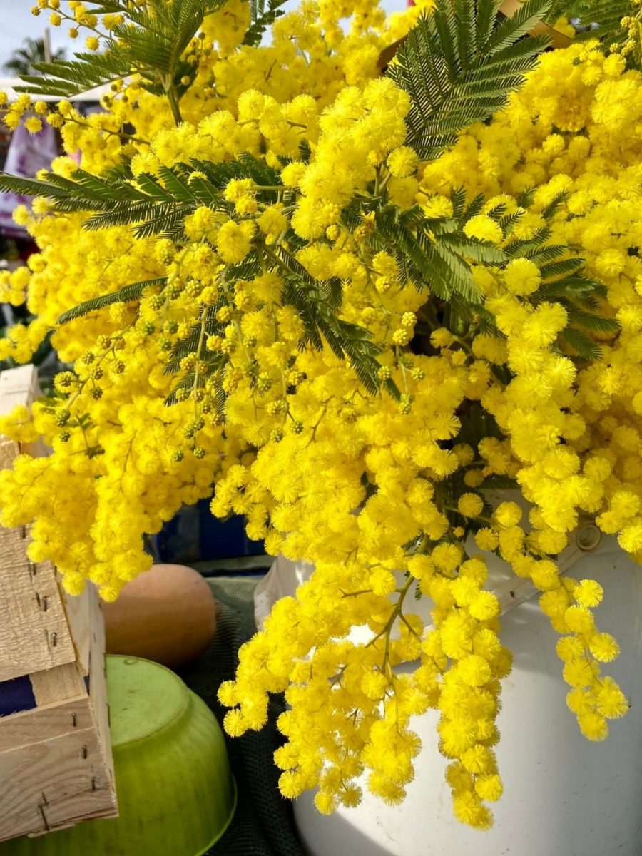 Visiter Bandol en duo hiver week-end