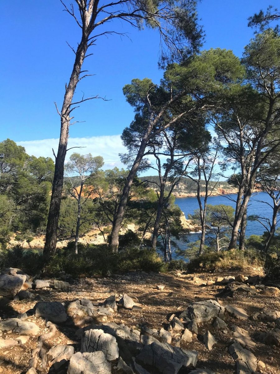 Visiter Bandol en hiver en solo un week-end