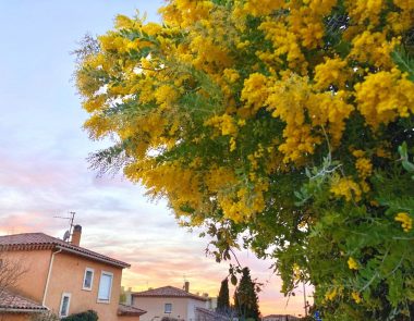 Bandol en hiver