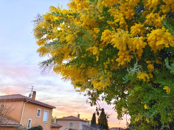 Bandol en hiver
