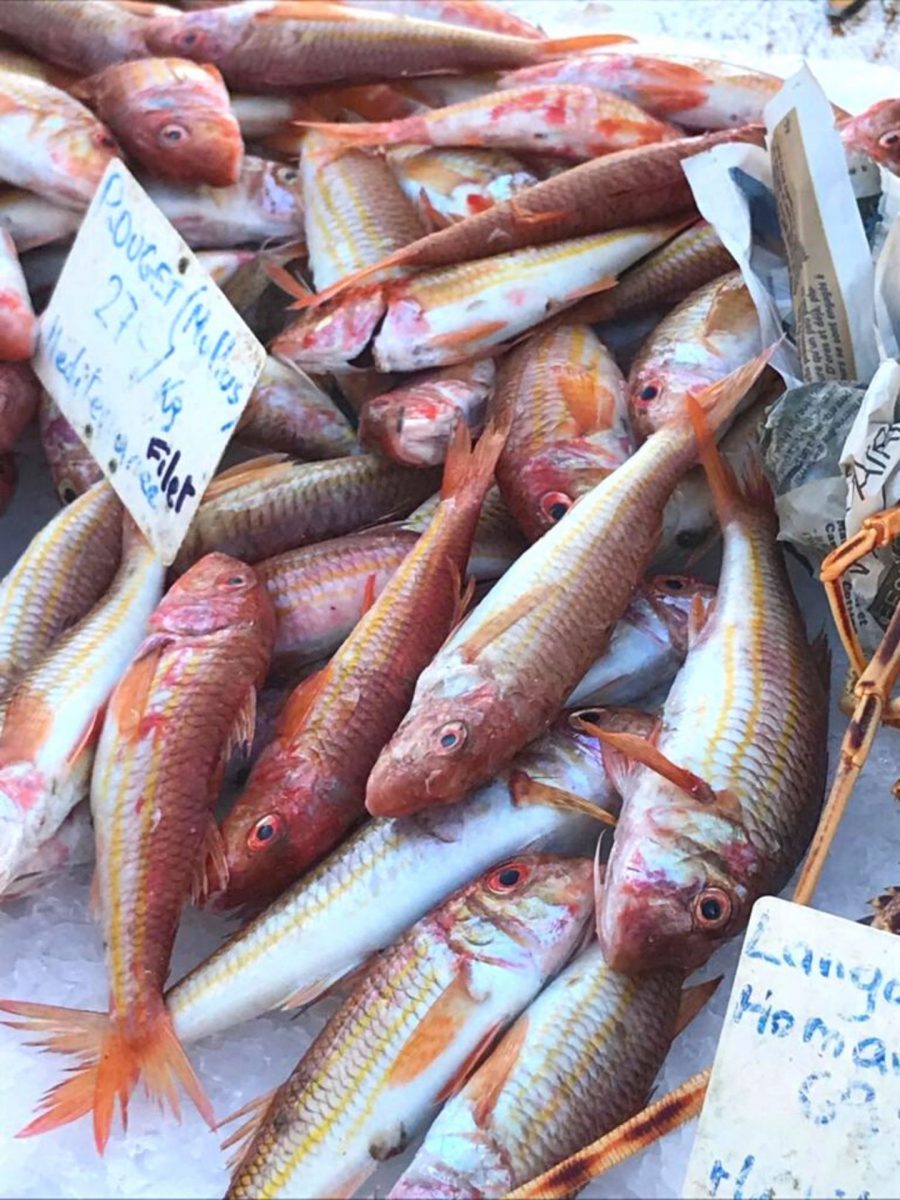 Visiter Bandol sur une semaine